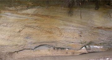 Miocene